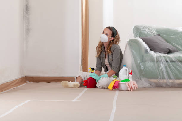 Reliable Mold Remediation contractor in Seguin, TX by 24 Hour Mold Removal